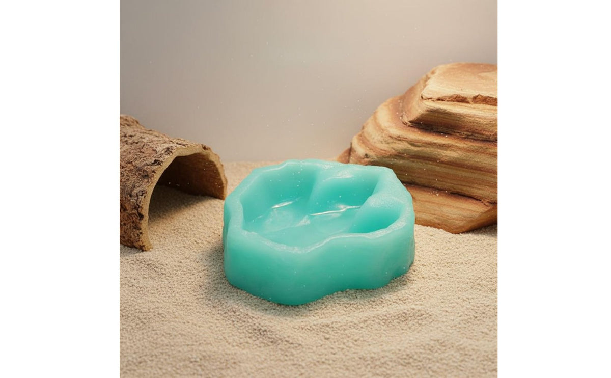 Dinosaur Footprint Bowl Decorative Landscaping Piece Tyrannosaurus Footprint Feeding Bowl Pet Food and Water Dish Non-Porous