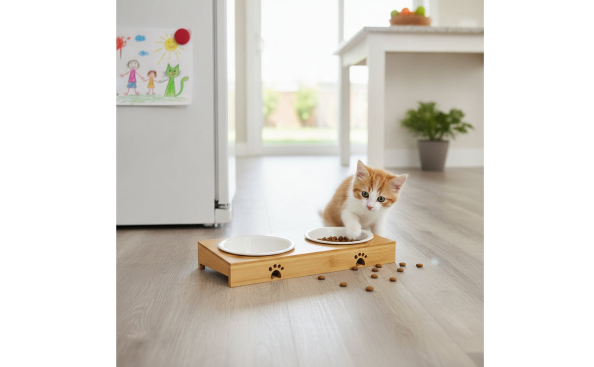 Easy to Clean Tilted Ceramic Cat Bowls Dishwasher Safe Elevated Cat Bowls Raised Food and Water Bowl Set for Kittens