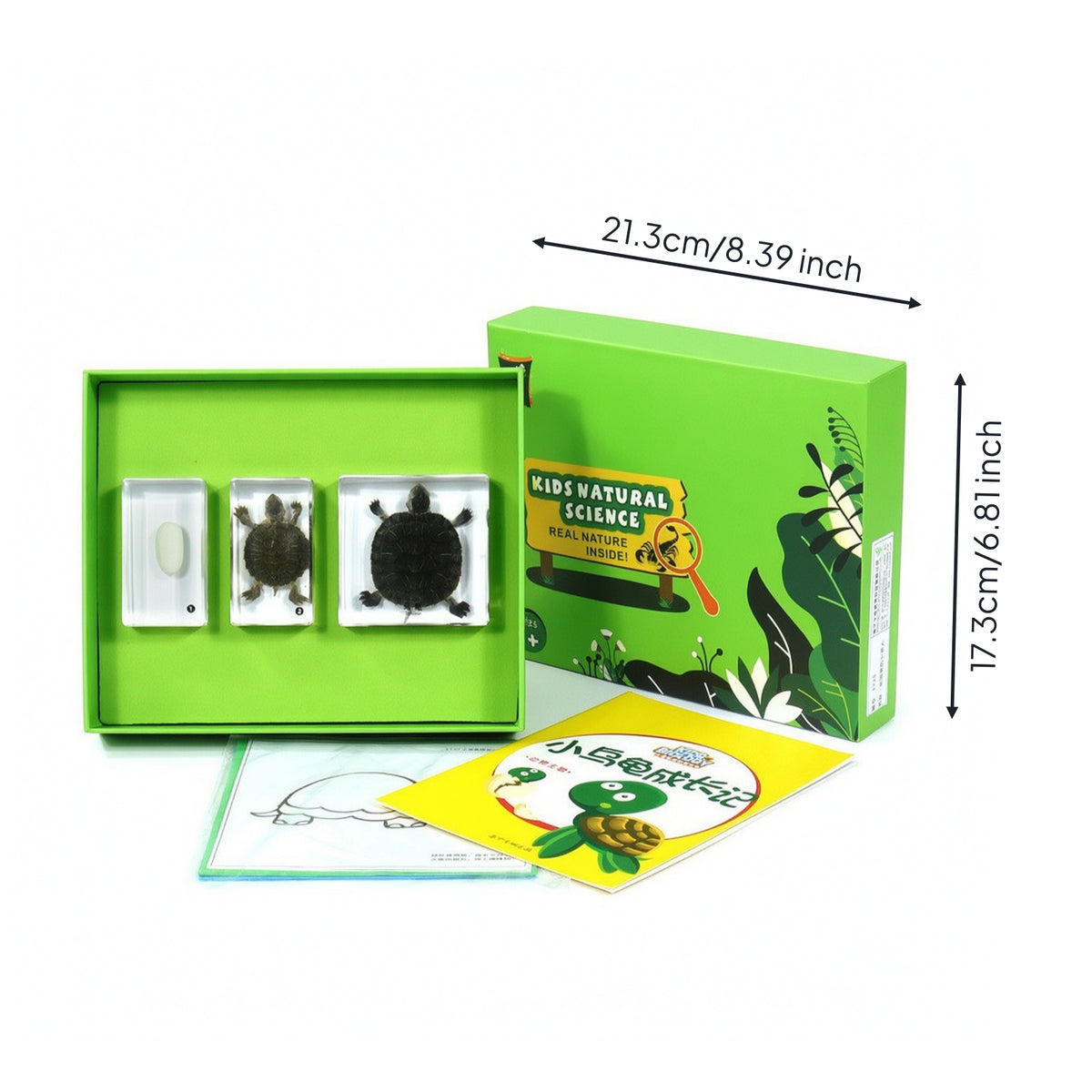 Nature Sample Display with Tray Long Resin Sample Set Transparent Science Kit for Classroom