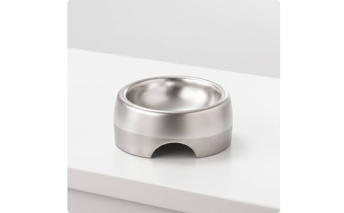 Tilted Pet Bowl Easy to Clean Stainless Steel Bowl Rustproof Cat Bowls for indoor, Puppies, Feeding Station