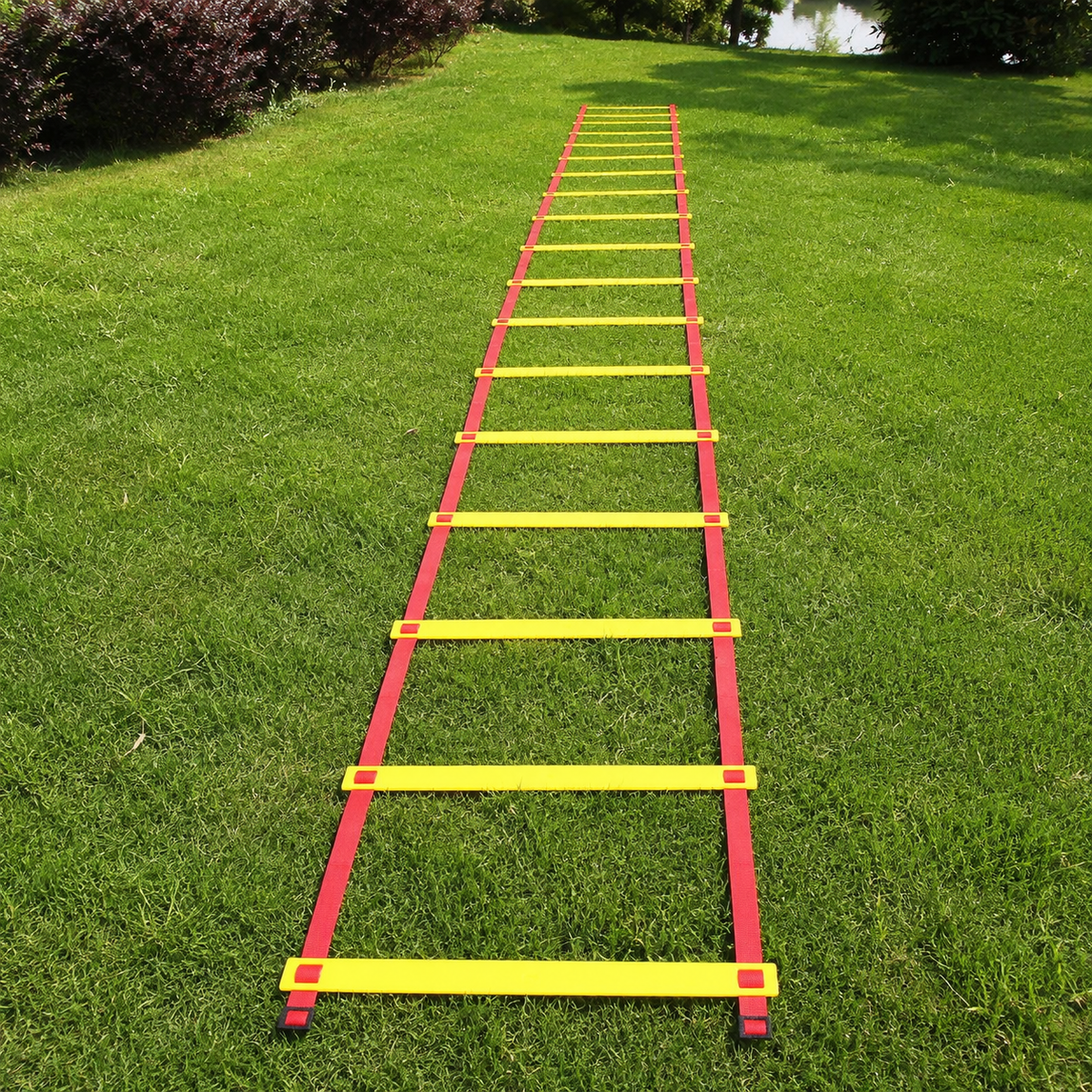 agility ladder