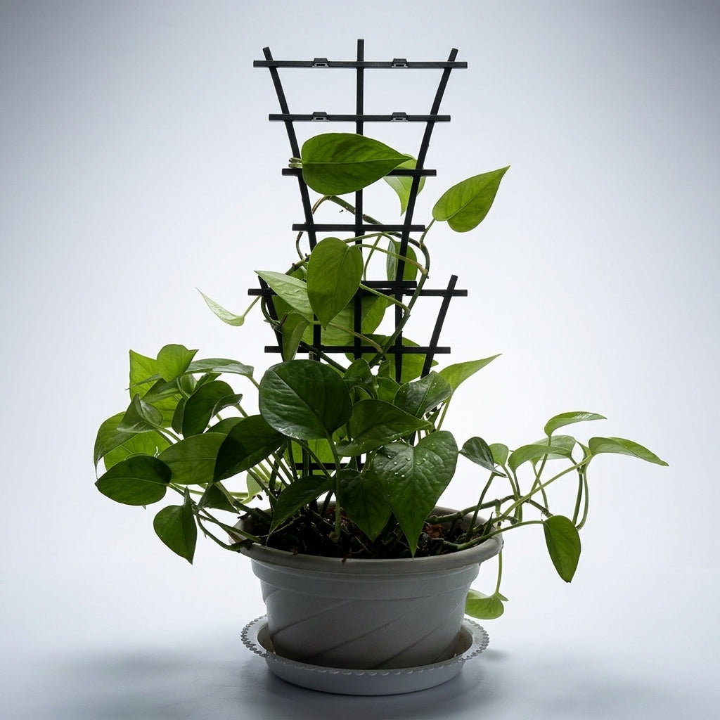 Garden Trellis for Climbing Plants and Outdoor Plants, 24 Pack of Plastic Plant Support for Potted Plants, Stackable Trellis for Indoor Plants