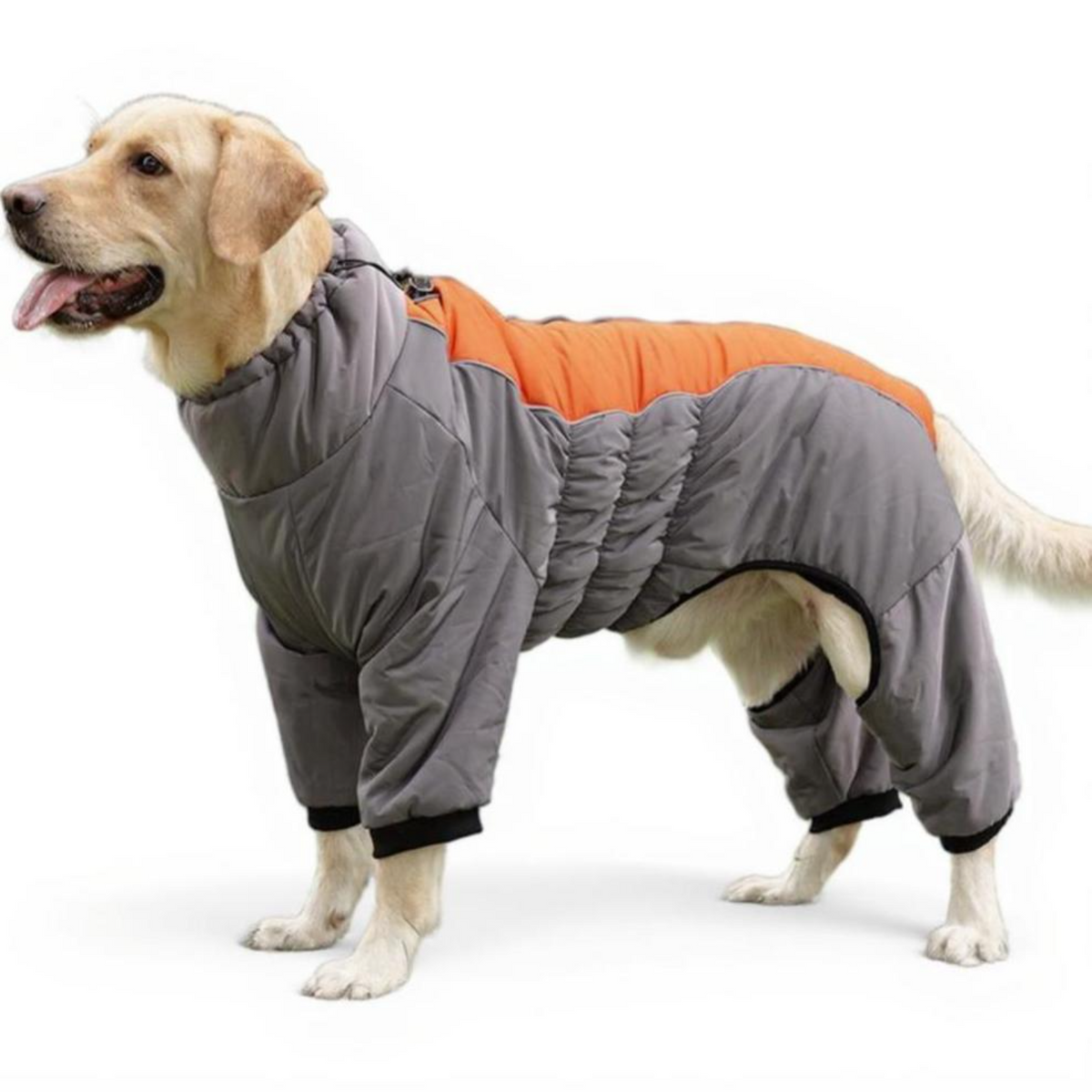 Dog Winter Outfit, Fleece, Outdoor, Breathable