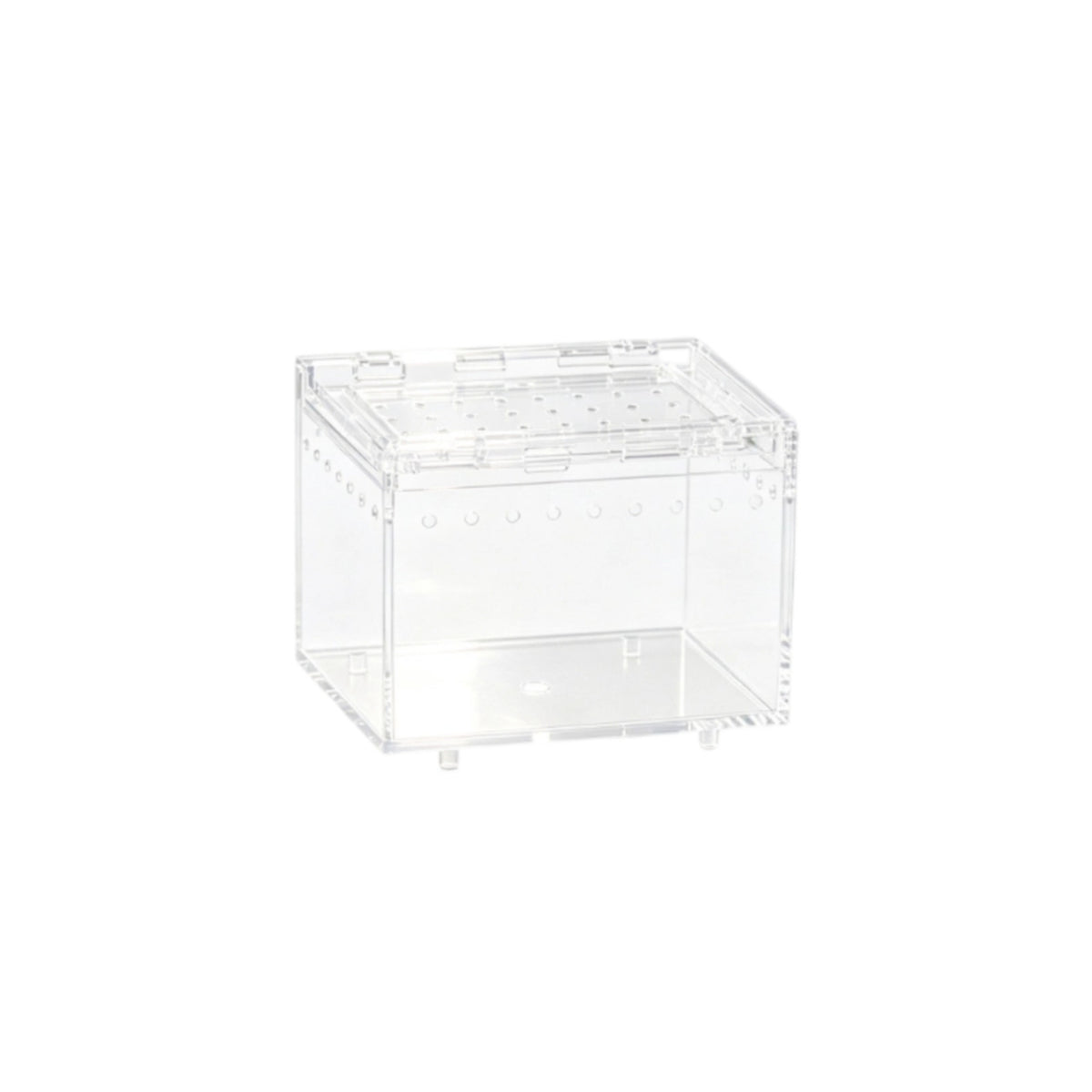 Reptile Enclosure with Attractive Sliding Lid Ventilated for Desktop, Hobbyists