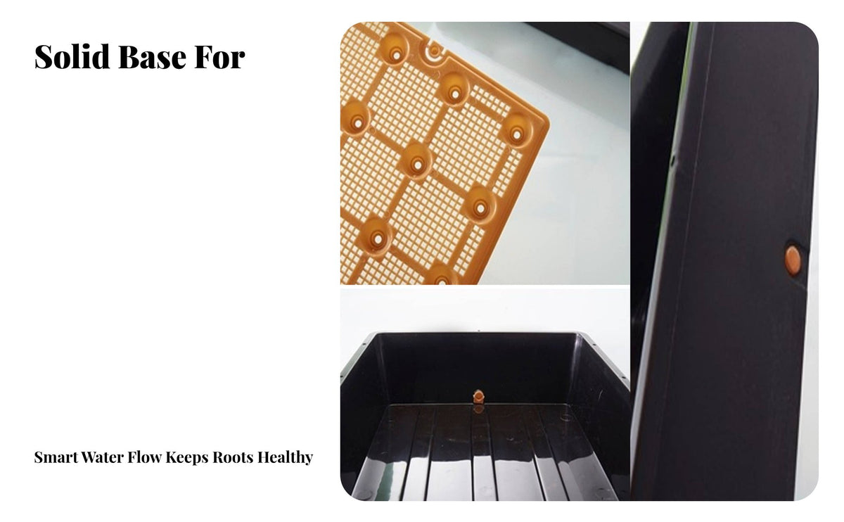 Growing Tray Set Vents Growing Tray Clear View Design Mini Greenhouse for Home Gardeners, Beginners, Balcony