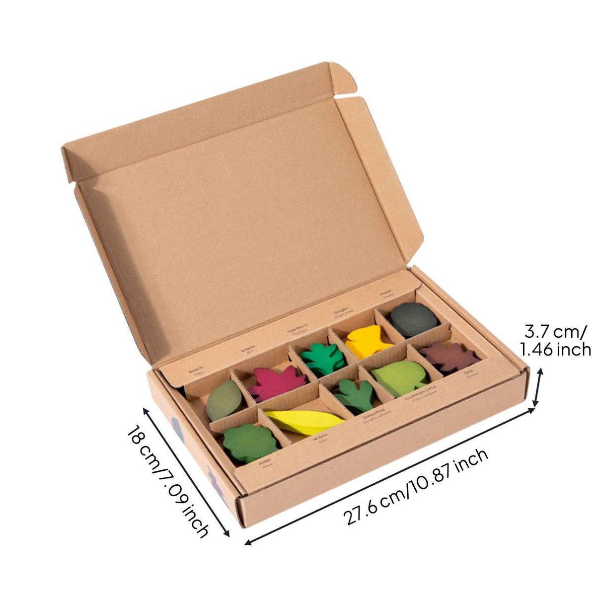 40 Pieces Child-Centered Inspired Wooden Foliage Matching Set Educational Foliage Matching Game Natural Wood Woodland-Themed Leaves Sorting Set Develops Hand-Eye Coordination for Preschoolers, Toddlers, Classroom, Homeschooling