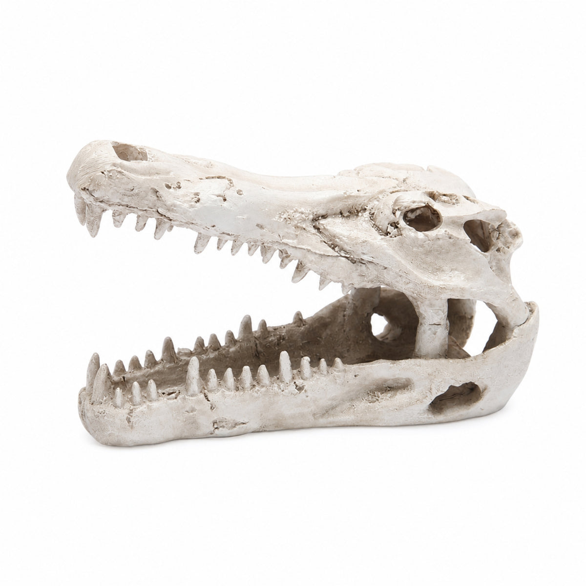 Hand-Painted Crocodile Skull Ornament Compact Aquarium Cave with Hollow Design Realistic Resin Skull Decoration Natural-Looking for Aquatic Pets Keepers, Terrarium