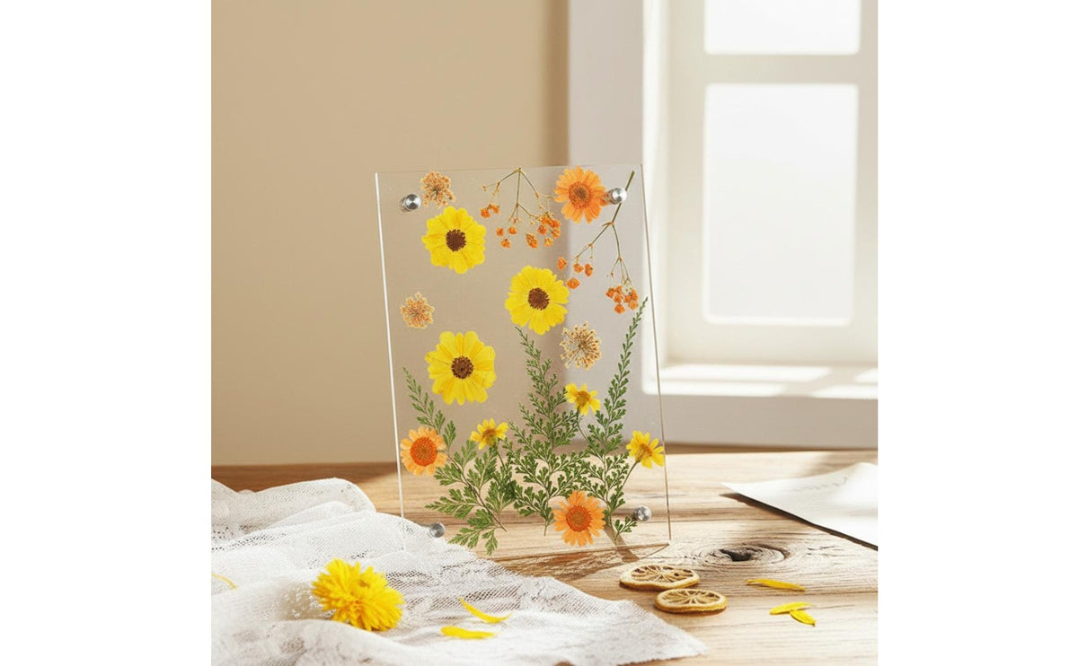 Acrylic Dried Flower Frame DIY Craft Flattened Floral Frame Minimalist Style