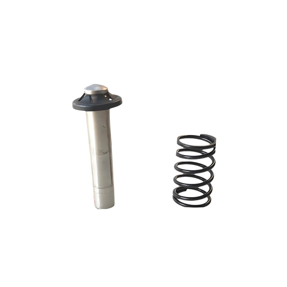 Pressure Washer Pump Plunger Coil Set, Metal, 220V