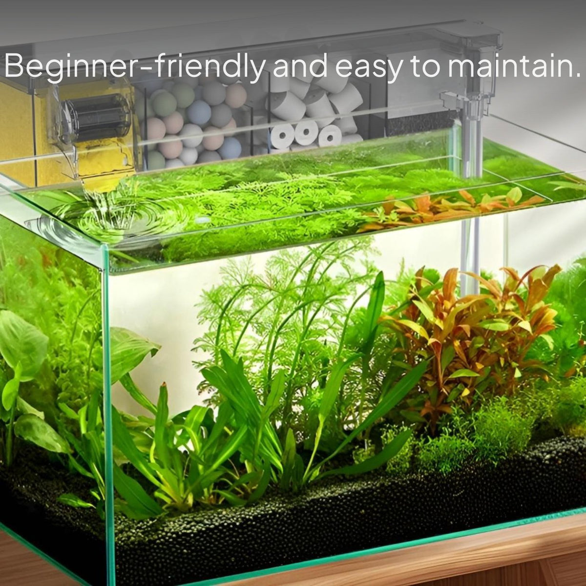 Desktop Aquatic Habitat Super Clear Glass Levitating Base