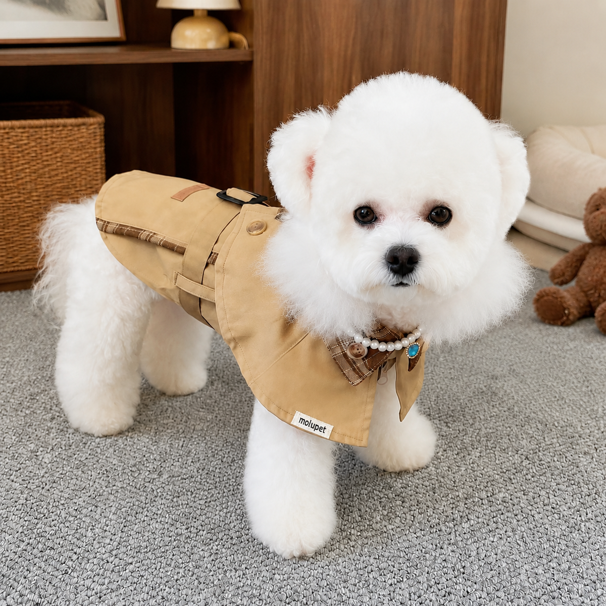pet coat