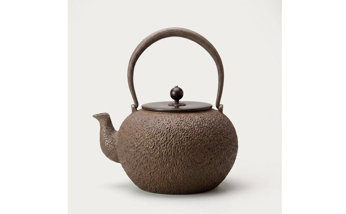 Cast Iron Teapot Traditional Kettle Loose Leaf Vessel for Tea Lovers, Collectors