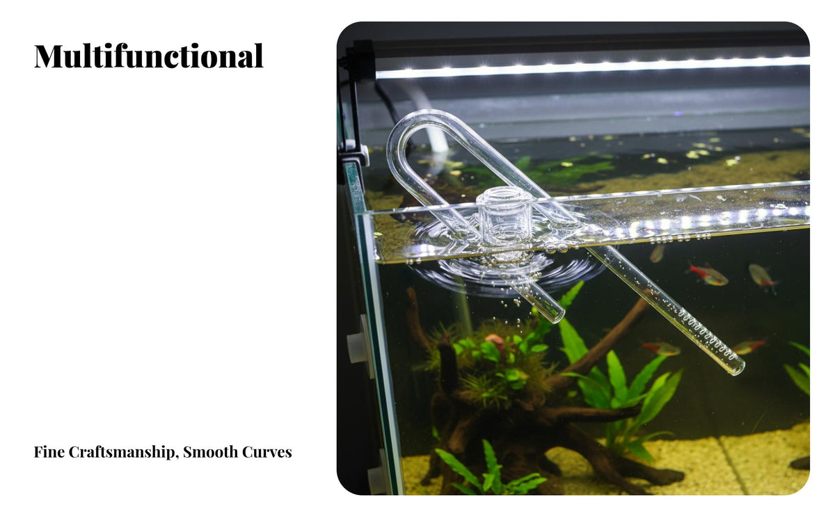 Aquarium Inflow Pipe Gentle Water Current Aquarium Outflow Pipe Crystal Clear Surface Skimmer Inflow for Aquascapers