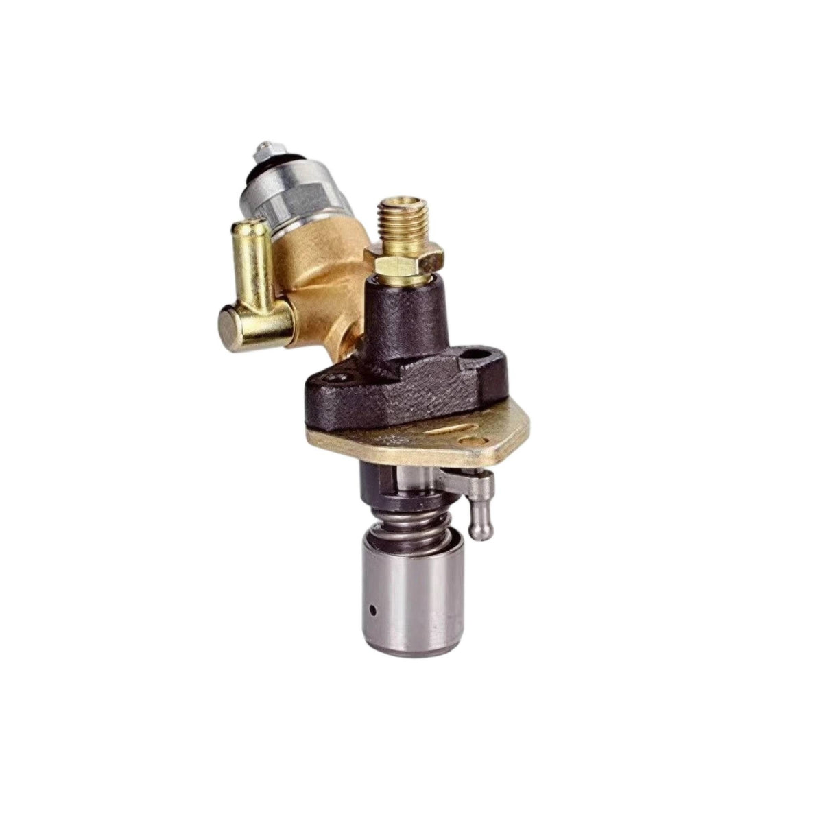 Petroleum Power Delivery Pump Replacement Petroleum Pump with Mounting Flange Compact for Mechanics, Farmers, Walking Tractors
