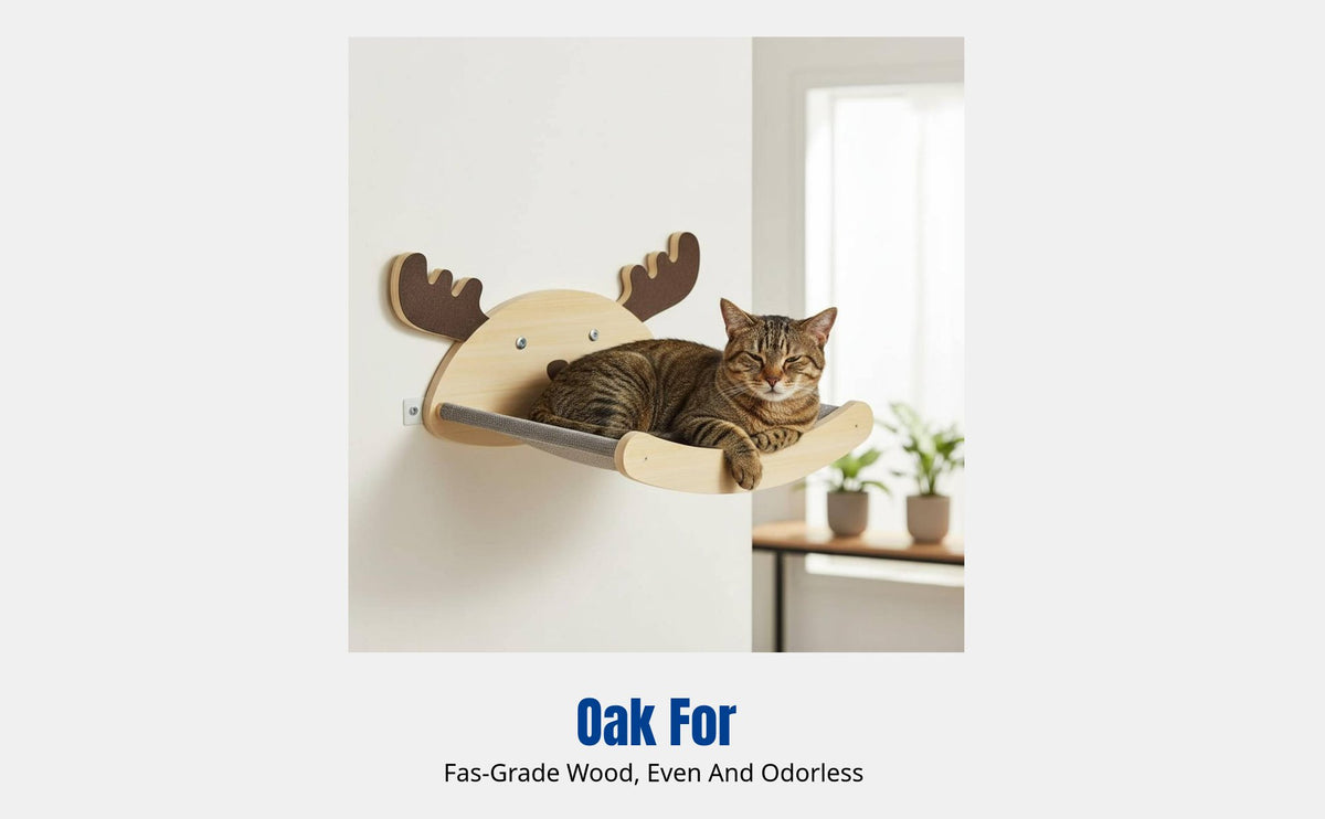 Wall Mounted Cat Climbing Frame, Cat Bed, Space Capsule, Sisal Scratching Post, Sturdy Wood, DIY Combination