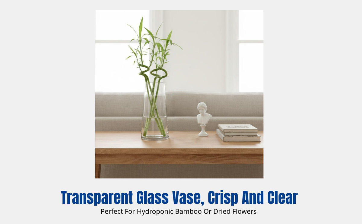 Nordic Glass Vase, Transparent Cylinder, Elegant Desktop Decor, Water Plant Holder
