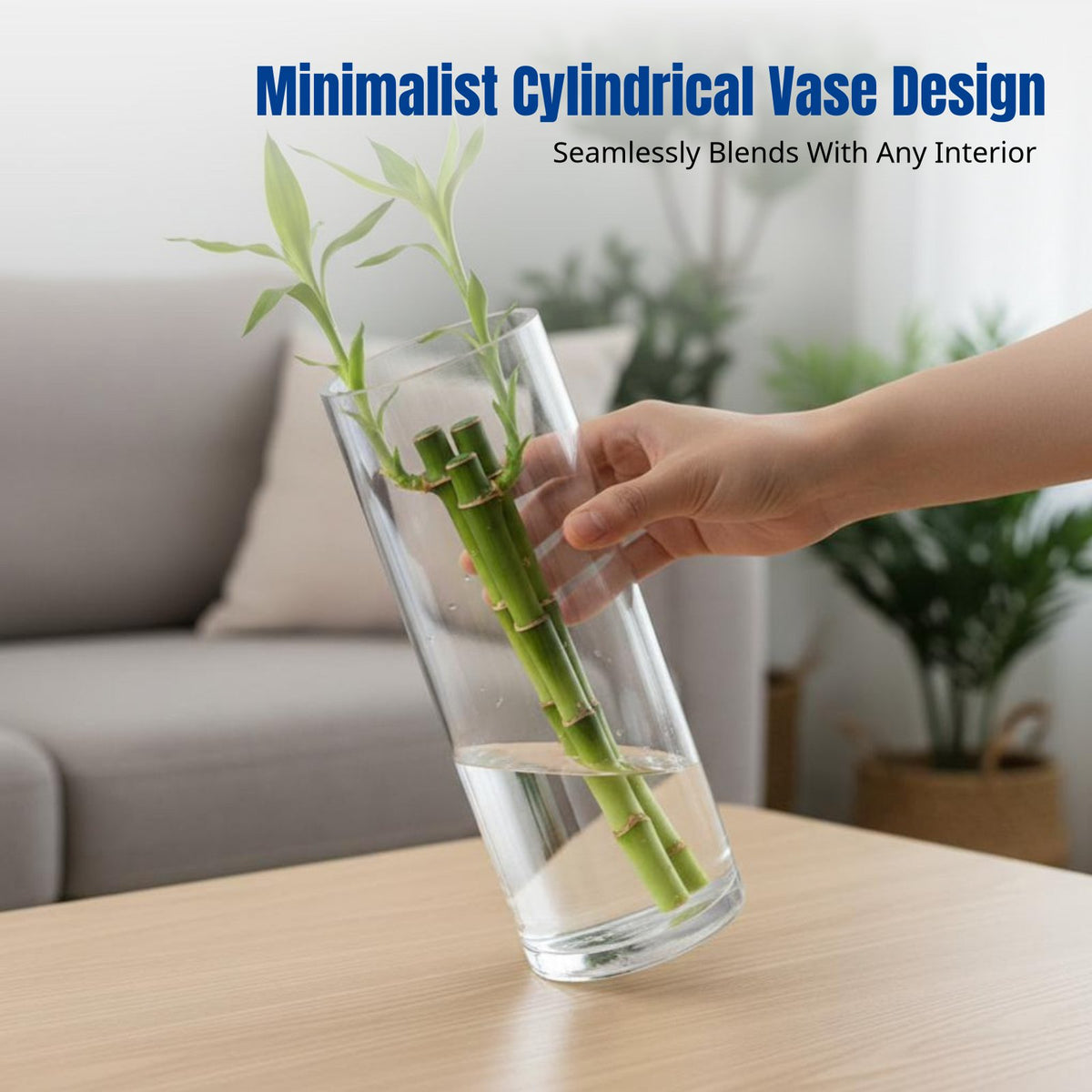 Acrylic Shatterproof Vase, Transparent Cylinder Flower Holder, Modern Minimalist Decor for Living Room, Hydroponic Bamboo Arrangement