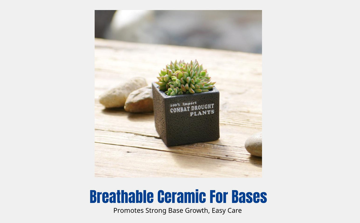 Breathable Mini Ceramic Pot, Nordic Square Planter for Home Decor