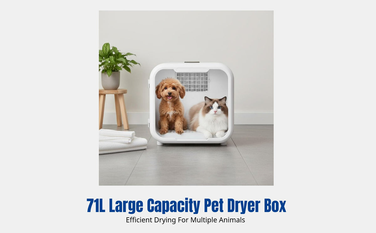 Pet Drying Box, Automatic Blower, Quiet Grooming Dryer, Large Capacity