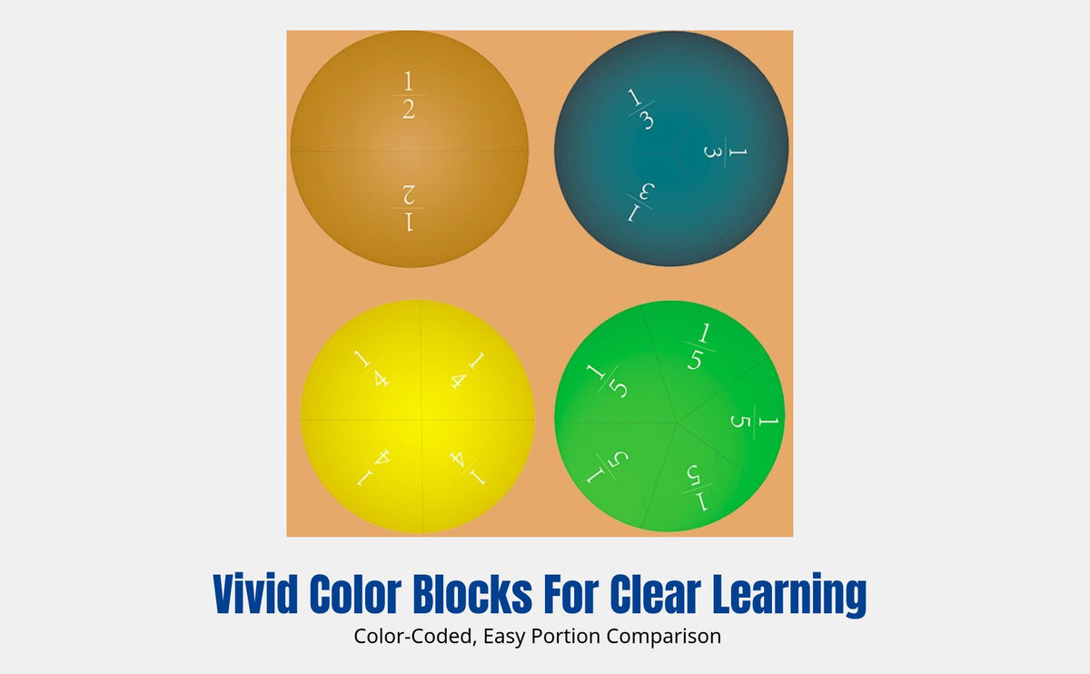 Magnetic Fraction Demonstrator Round Foam Fraction Wall Teacher Model Grades 3-5 Math Aid Addition Subtraction