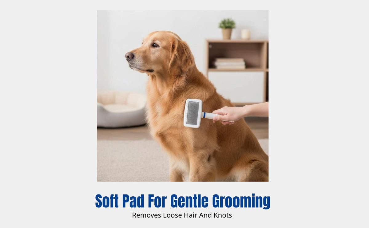 Stainless Steel Pin Pet Brush, Soft Pad Needle Comb, Dog & Cat Grooming