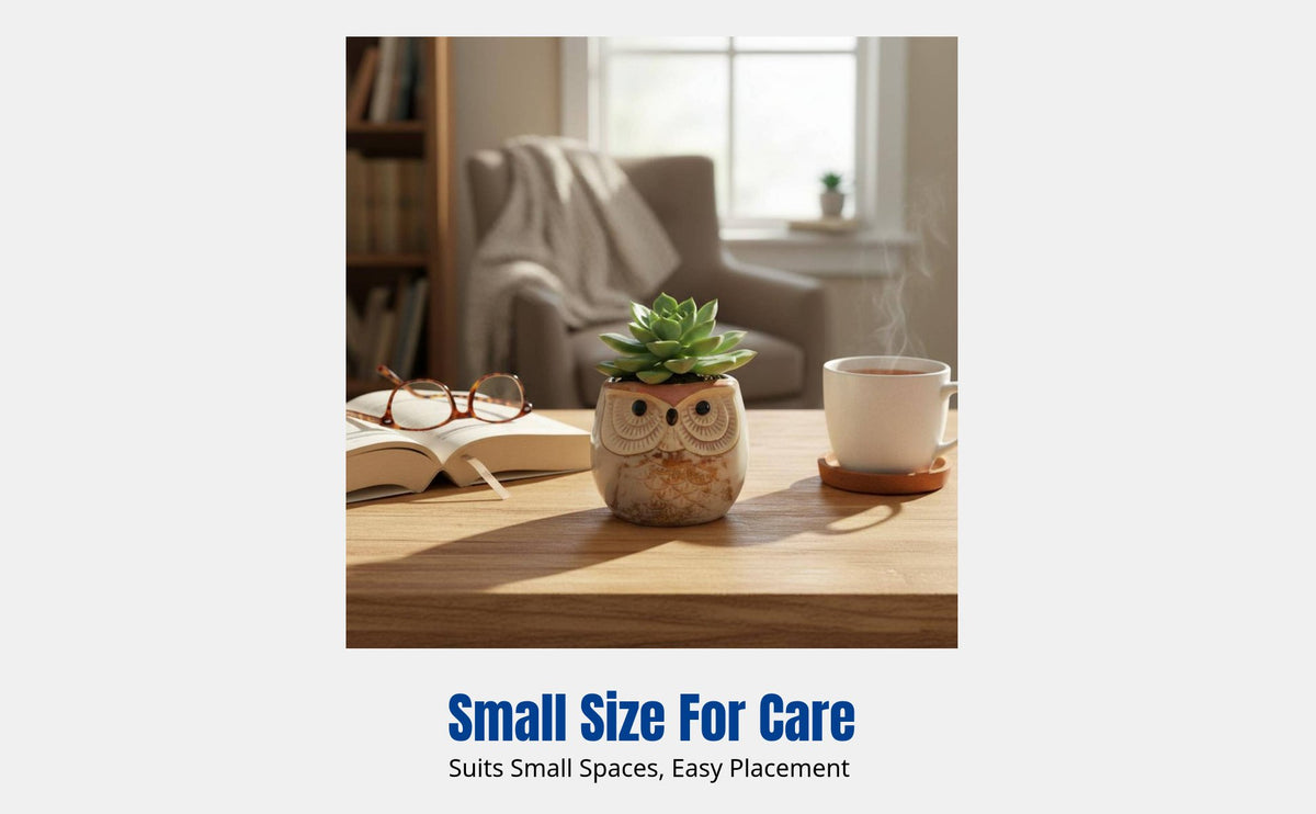 Cartoon Bird Ceramic Planter, Small Thumb Pot, Breathable, Home Decor Accent