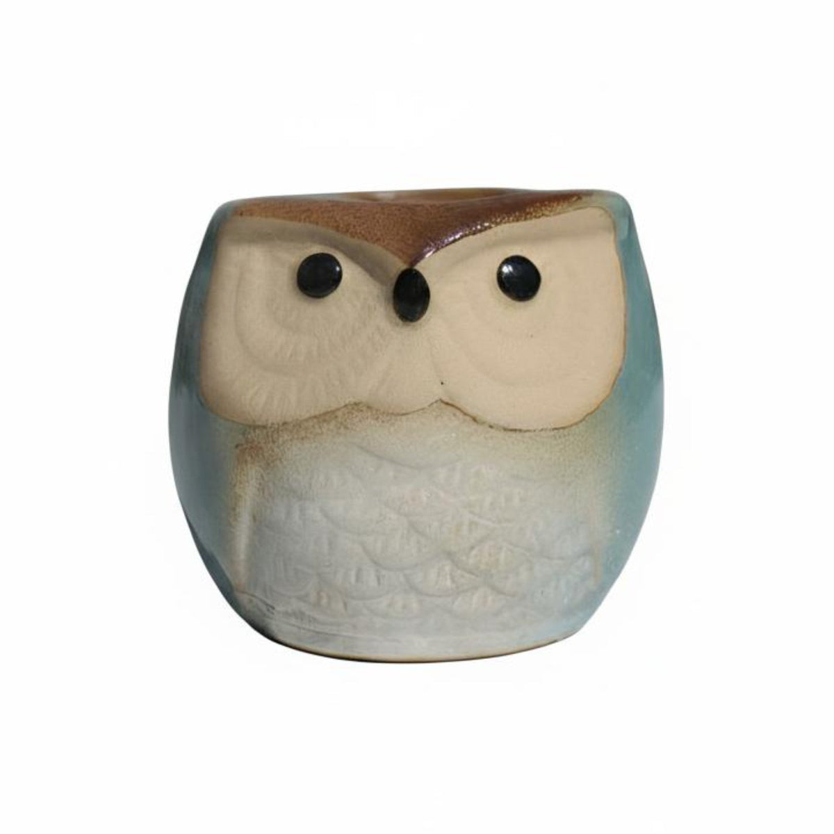 Blue / Owl Short