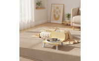 Elevated Pet Feeder Cute Stainless Steel Bowl Sturdy Raised Cat Bowl for Young Dogs, Indoor