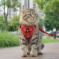 Cat Harness and Cat Leash Set, Polyester Vest Style Cat Walking Harness, Adjustable Non-Retractable Strap for Outdoor Walking and Travel