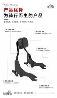 GUANTENGYU Quick-Release Passenger Backrest for Harley Road King ST Sport Glide and Electra Glide (After 2018)