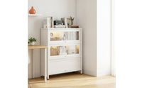 Storage Cabinet with Glass Doors Cabinet with Glass Paneled Doors Space-Saving Furniture for Living Room, Study, Small Areas