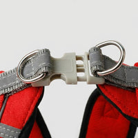 Small Dog Harness with Leash and Chest Strap, Solid Polyester Vest with Buckle, Dog Walking Set for Outdoor Walking and Easy Control Training
