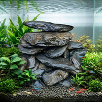 Mixed Shape Aquarium Stones for Aquarium Decoration, Inert Aquarium Stones and Basking Perch for Aquatic Pet and Reptile Habitats