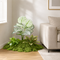 artificial plant arrangement