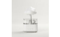 Rain Cloud Humidifier Quiet Cloud Humidifier Appliance Cool Mist for Adults, Bedroom, Living Room