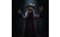 Poseable Halloween Decoration with Sound Life-Size Witch Ghost Animated Ghost Witch Interactive for Entryway, Yard