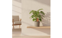 4 Pieces Slow-Release Terracotta Olla Porous Irrigation Bottle Outdoor Self-Watering Bottle Indoor for Gardeners, Travelers, Potted Plants