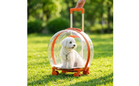 Transparent Rolling Pet Carrier Hard-Shell Pet Carrier with Wheels Smooth Effortless for Travel, Vet Visits