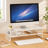 2 Tier Metal Monitor Stand with Storage Desk Shelf for Home Office Workspace