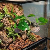 Flexible Bendable Branch Reptile Branch, 25cm Crested Gecko Tank Accessories, Resin Suction Cup Climbing Vine for Terrarium Habitat Decor