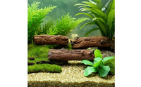 3 Pieces Tree-Stump Decorations Molded Artificial Log Sections Rustic Landscape Trees for Hobbyists, Aquarium Owners, Dioramas, Tabletop Displays