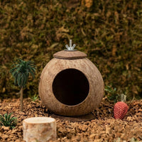 Coconut Hut Hamster House, Easy Clean Pet House for Small Rodents, Chewable with 7cm Entry for Summer and Winter Use