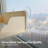 Suction Holder Window Lounge Drill Installation Feline Furniture Sunbathing Lofelineion Pet Supplies for Felines, Panes, Glass Doors