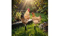 2 Pieces Chicken Silhouettes with Ground Stakes Acrylic Chicken Garden Stake Animal-Themed Outdoor Decorations Black