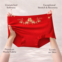 Women's High Waisted Modal Fiber Knickers for Everyday Wear, Ladies Underwear Packs with Control and Protection, Soft Breathable