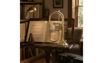 Flugelhorn with Case Rich for Beginners, Rehearsals