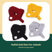 Dog Accessories, Knit Hat, Small Dogs, Winter, Party
