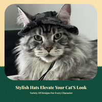 Pet Sun Hat, Adjustable, Lightweight, Ear-Exposed, Fun