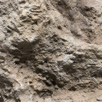 decorative rockery