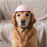 Long-Lasting Dog Feline Riding Helmet Lightweight Mini Pet Biker Helmet Shockproof for Outdoor